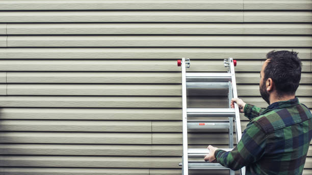 Best Dumpster Rental Services  in Mount Prospect, IL